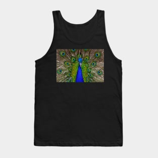 Peacock Tank Top